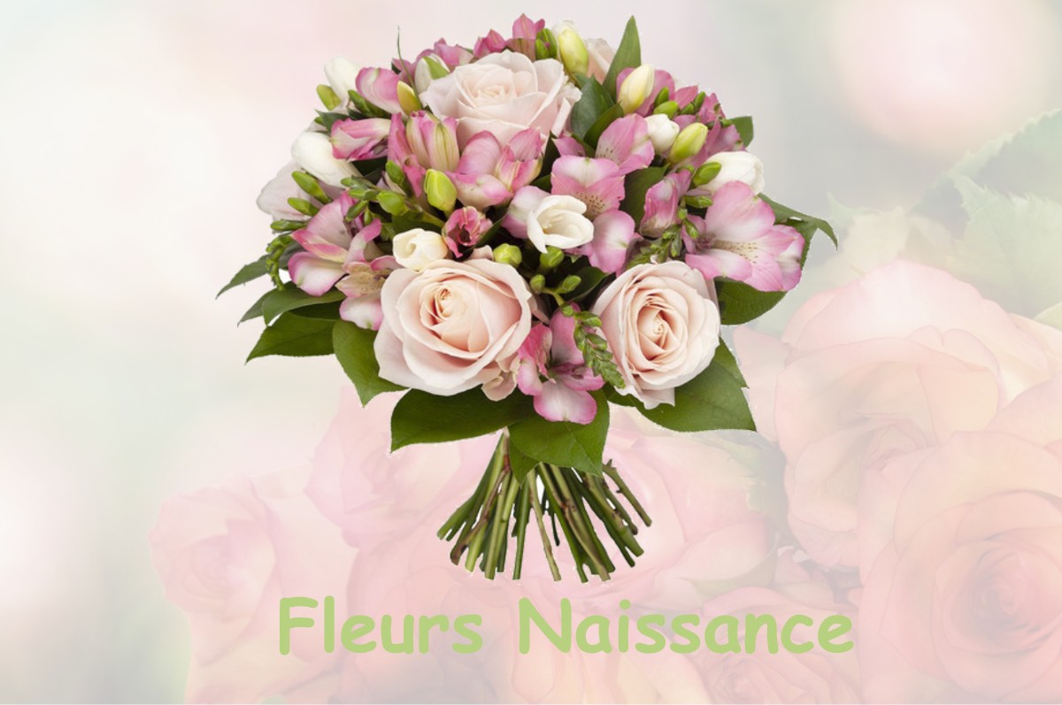 fleurs naissance LA-CHEPPE